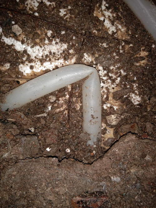 平塘堵点精准查找